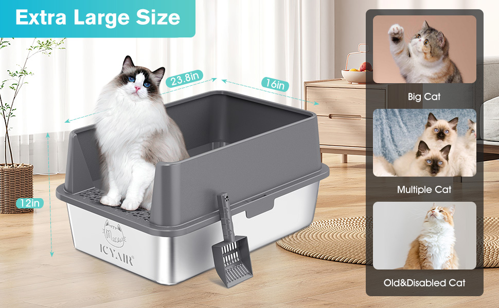 Best litter box 2026 stainless steel comparison