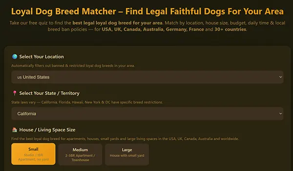 Interactive canine breed selector utility analysis matching household living spaces with dog behavioral traits and energy scores