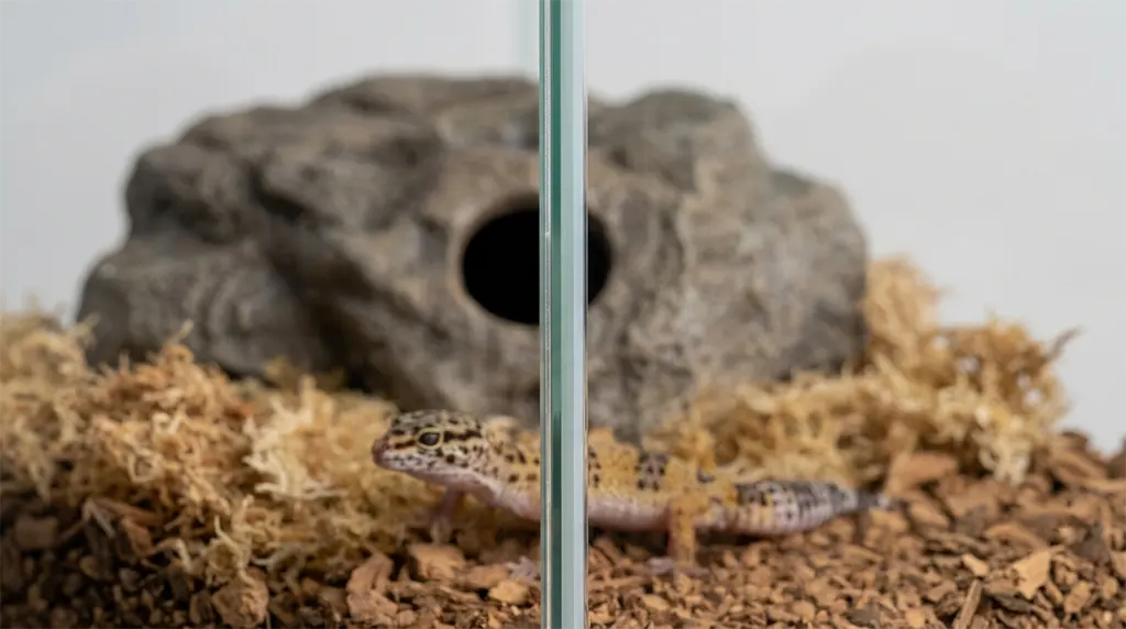 Close-up of fine aluminum mesh ventilation strip installed on a glass terrarium panel for cross-flow airflow.