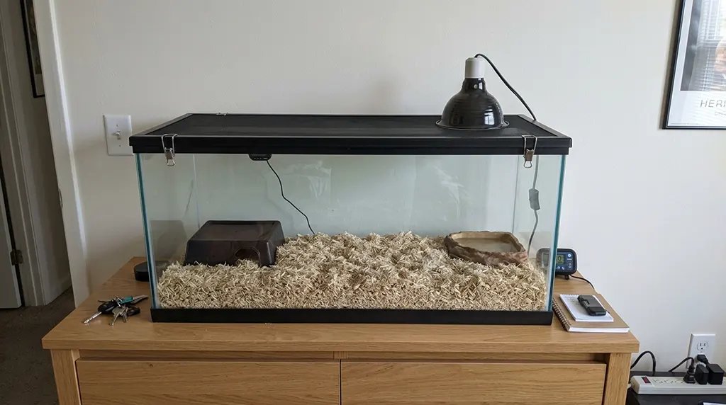 Smartphone photo of a 20-gallon long glass snake tank with a secure screen lid placed on a shelf in a cozy apartment room.