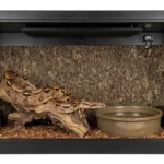An adult Boa Constrictor inside a professional PVC enclosure with a Radiant Heat Panel and natural habitat decor.