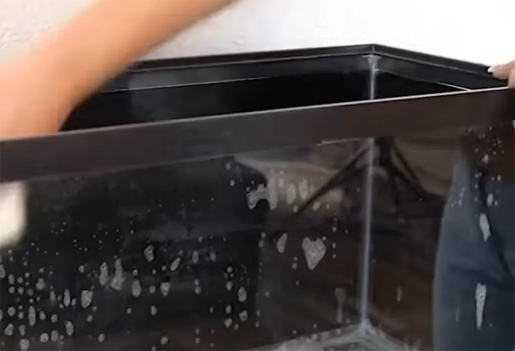 Cleaning and disinfecting reptile enclosure accessories and water bowls.