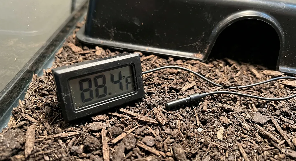 Real smartphone photo showing a digital thermometer probe resting on substrate near a heating element inside a snake tank.